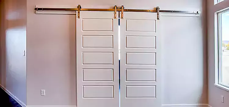 Glass Barn Door with Installation Hardware Kit Hawkesbury